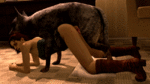 e0a12f42eb023351ac54a7de8b405ea01dd6aed1.gif