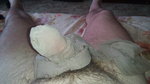 IMG_20160626_194915.jpg