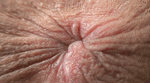 2ea8ec103c.gif