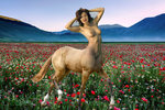 Tatiana S - horse.jpg
