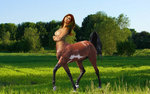 Anna Chapman- horse.jpg