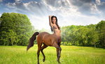 Anna K - HORSE.jpg