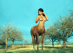 Julia H-  horse.jpg