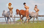 group horse.jpg