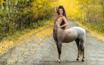 horses-autumn-park-horse-Anastasia M-wallpaper.jpg