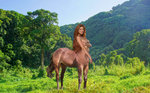 tropical-forest-tropics-Anna S- horse.jpg