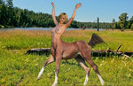 Olga B - horse.jpg