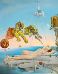 Salvador_Dali_Pictorial_art_Tigers_Dream_Caused_by_536198_812x1024.jpg