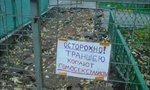 idiotic-and-cool-signboards-01.jpg