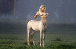 Emilia Clarke -horse.jpg
