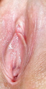 736_1000.jpg