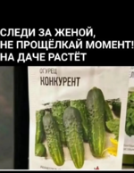 1748205603720.png