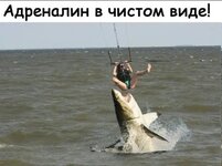 111.jpg