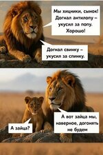 vhpkwg6f.jpg