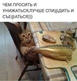 IMG_5642.jpeg