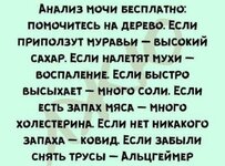 IMG_5647.jpeg