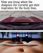 IMG_5733.jpeg