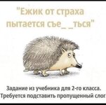 IMG_5742.jpeg