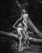 IMG_8393.jpeg