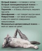 IMG_5906.jpeg