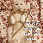 IMG_5908.jpeg