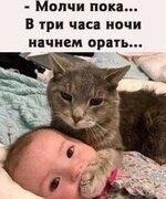 IMG_6027.jpeg