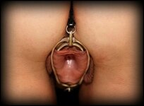 tumblr_pierced_cli-8960.jpg