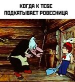 IMG_6687.jpeg