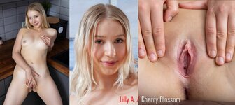 cnt 749f.jpg cnt 749f.jpg